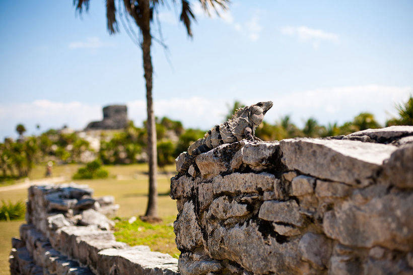 17 photos of the magnificent and incredible Mayan ruins on the Riviera Maya