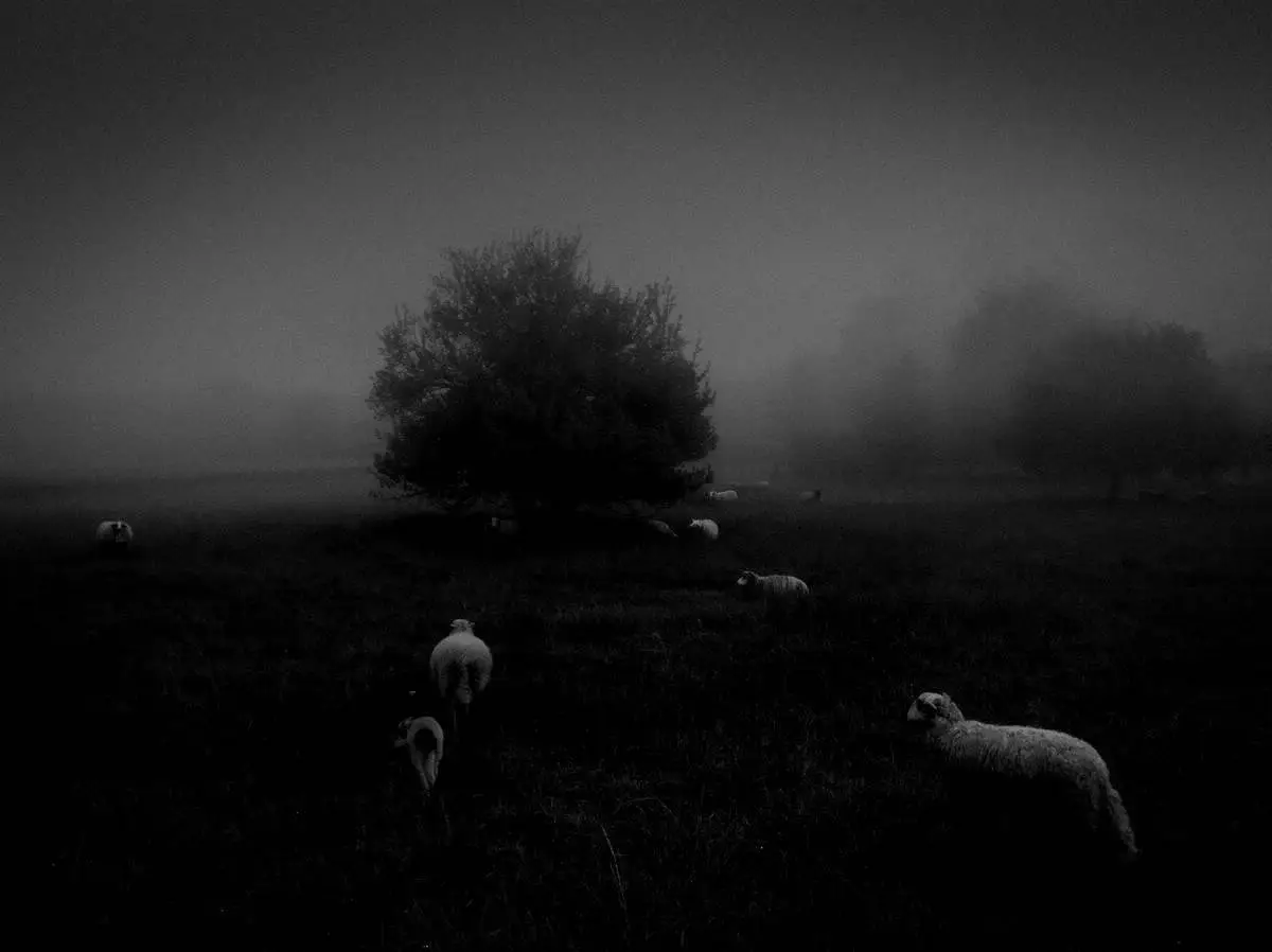 Победители конкурса мобильной фотографии iPhone Photography Awards 2018 15