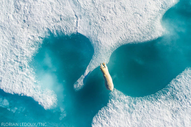 21 amazing prize photos, after which you will fall in love with our planet