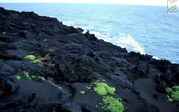 An island that no one can get to and who the first did not exist until 1963.