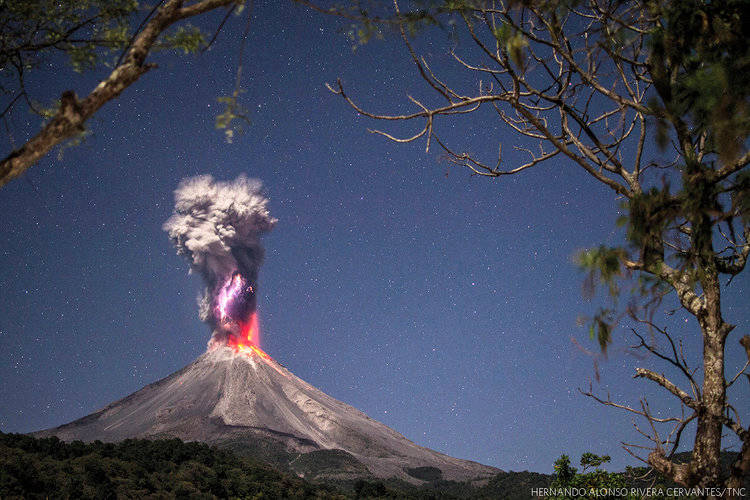 21 amazing prize photos, after which you will fall in love with our planet