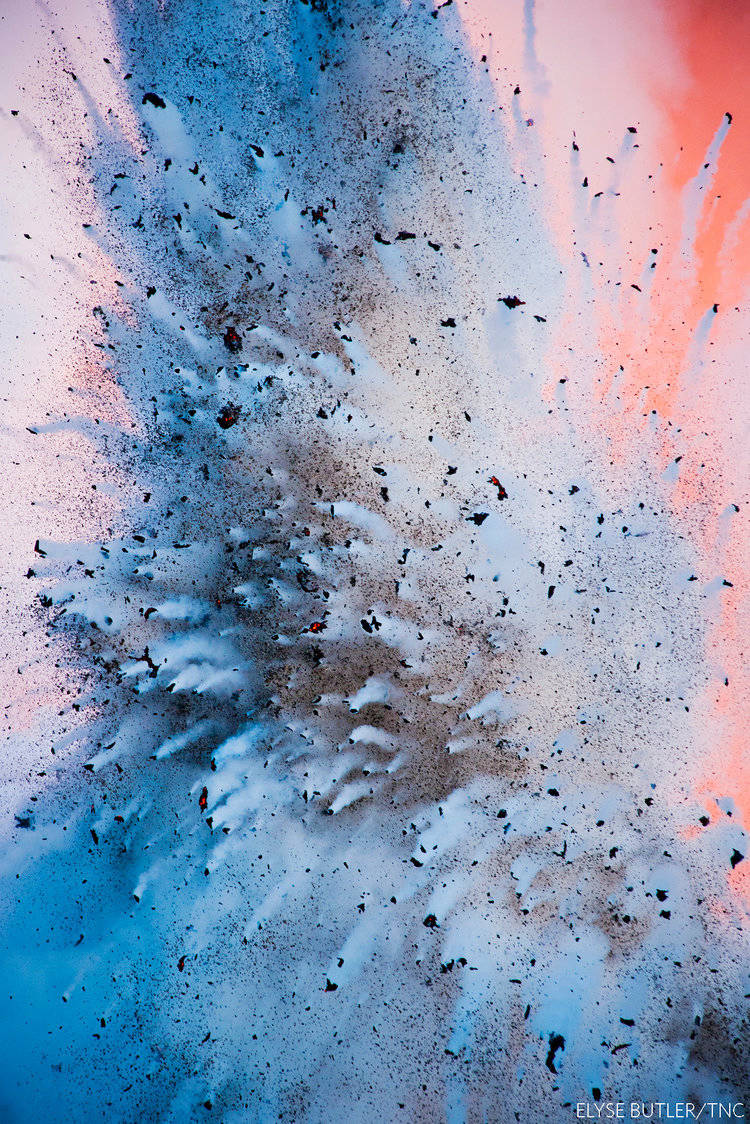 21 amazing prize photos, after which you will fall in love with our planet