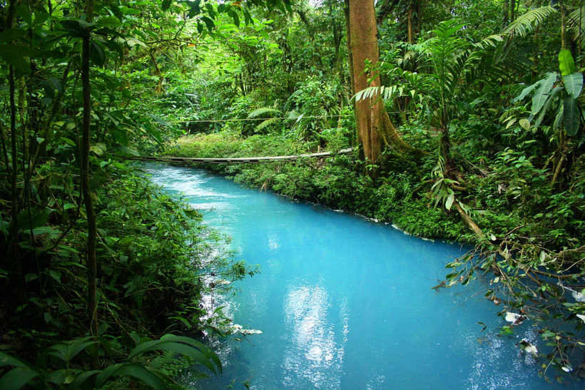 The Turquoise River Rio Celeste: Only recently scientists were able to reveal the secret of its color