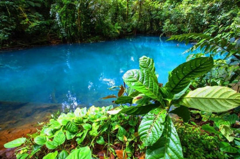 The Rio Celeste Turquoise River: only recently scientists have been able to uncover the secret of its color