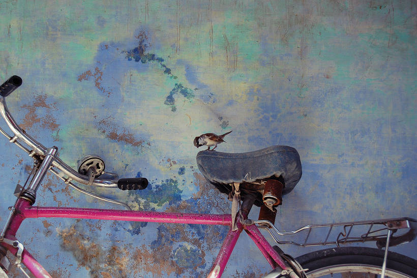 Великолепные тревел-фотографии Ника Даума, вызывающие восхищение