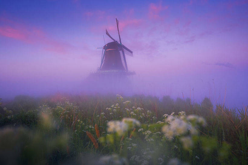 Голландські вітряки в тумані - одне з найчарівніших видовищ в світі