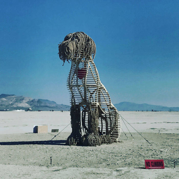 Самые крутые снимки с сумасшедшего и чудесного фестиваля Burning Man 2018