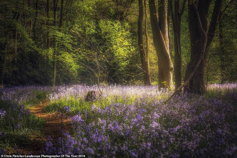 Lou 2018 UK landscape photos