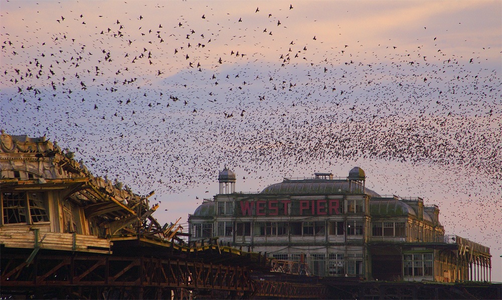 England, Brighton, West Pier