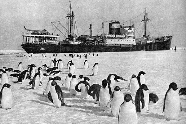 Mit der Segnung von König Alexander I. startete im Juli 1819 aus Kronstadt die erste russische Antarktisexpedition. Ihr Leiter wurde Kapitän zweiten Ranges Faddei Faddejewitsch Bellingshausen, der auch das dreimastige Schiff „Wostok“ befehligte.</p>\n  "home_text": "<p>Tenant Michail Petrowitsch Lasarew war Kapitän des Schiffs „Mirny“. Die Aufgabe, die den erfahrenen Seefahrern gestellt wurde, war äußerst schwierig: Sie mussten um jeden Preis so nah wie möglich an den Südpol herankommen und dabe