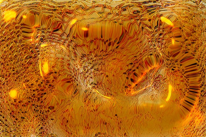 Interessante Fakten über Süßigkeiten :) Klicken Sie auf das Bild und genießen Sie sie :)