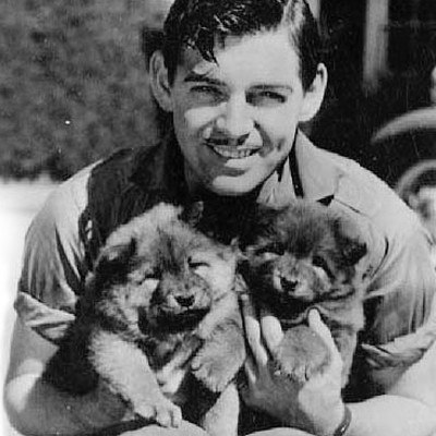 Vor 112 Jahren wurde Clark Gable geboren. Clark Gable, der spätere „König von Hollywood“, kam am 1. Februar 1901 in der Stadt Cadice im Bundesstaat Ohio in die Familie eines Ölbohrers zur Welt. Er war das einzige Kind seiner Eltern. Noch bevor er ein Jahr alt wurde,</p>\n  "home_text": "<p>seine Mutter starb, und sein Vaterziehung übernahm eine Stiefmutter mit strengen moralischen Prinzipien. Als Clark 16 Jahre alt war, verließ er die Schule und begann zu arbeiten. Er arbeitete in einer Reifenfa