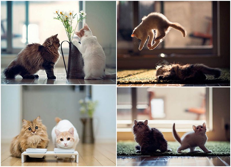 Die niedlichsten Freunde – Daisy und Hannah