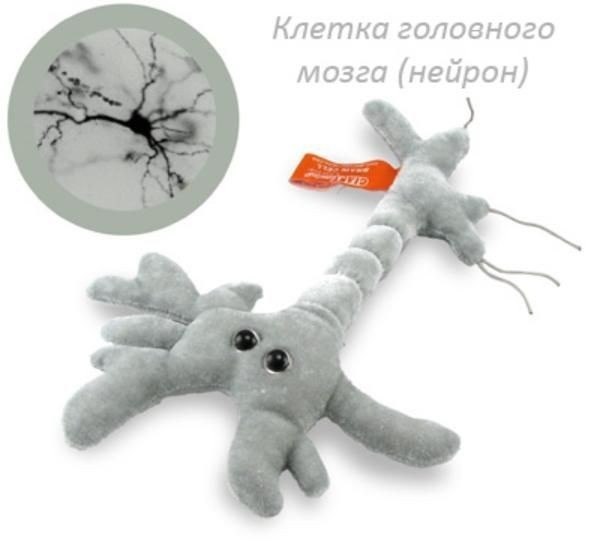 Zabawki w formie wirusów - 9