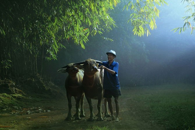 Fotografie w ruchu - 5