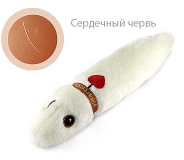 Virus-ähnliche Spielzeuge