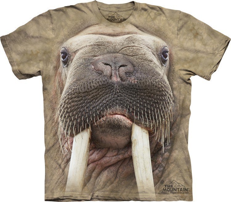 Najlepszy prezent dla siebie i bliskich! ----------------------------------------Dziękujące za życie t-shirty Mountain z niezwykle imponującymi wzorami: http://sinber.ru/mountainZwrócą na siebie uwagę i poprawią ci nastrój! - 6