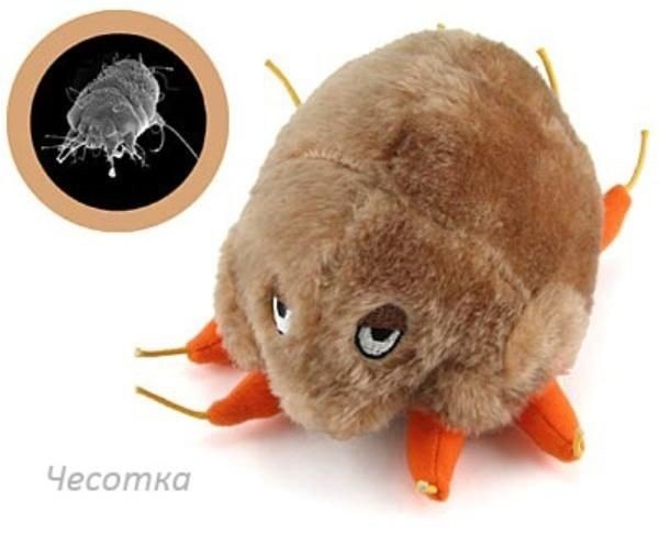 Zabawki w formie wirusów - 5