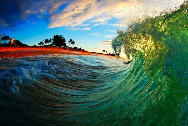 Au cœur des vagues hawaïennes - 6