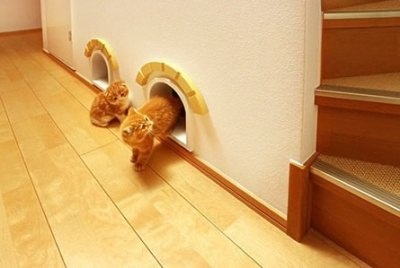 Décoration pour chats