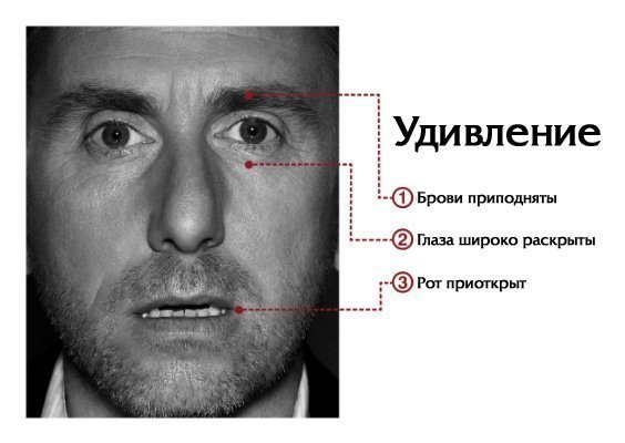 Mimika – wyraziste ruchy mięśni twarzy, które stanowią jedną z form wyrażania różnych uczuć człowieka - 6