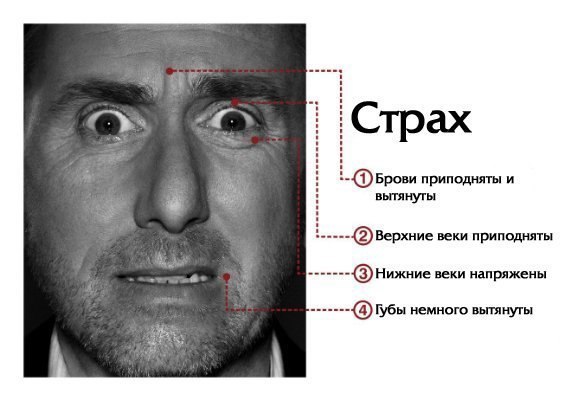 La mimique : les mouvements expressifs des muscles du visage, qui constituent l'une des manifestations des différentes émotions humaines
