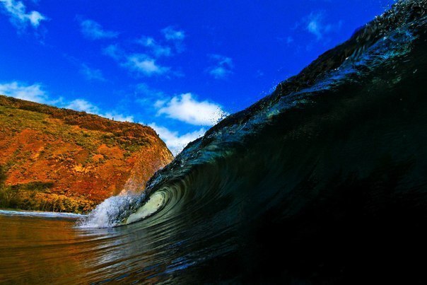 Au cœur des vagues hawaïennes - 7
