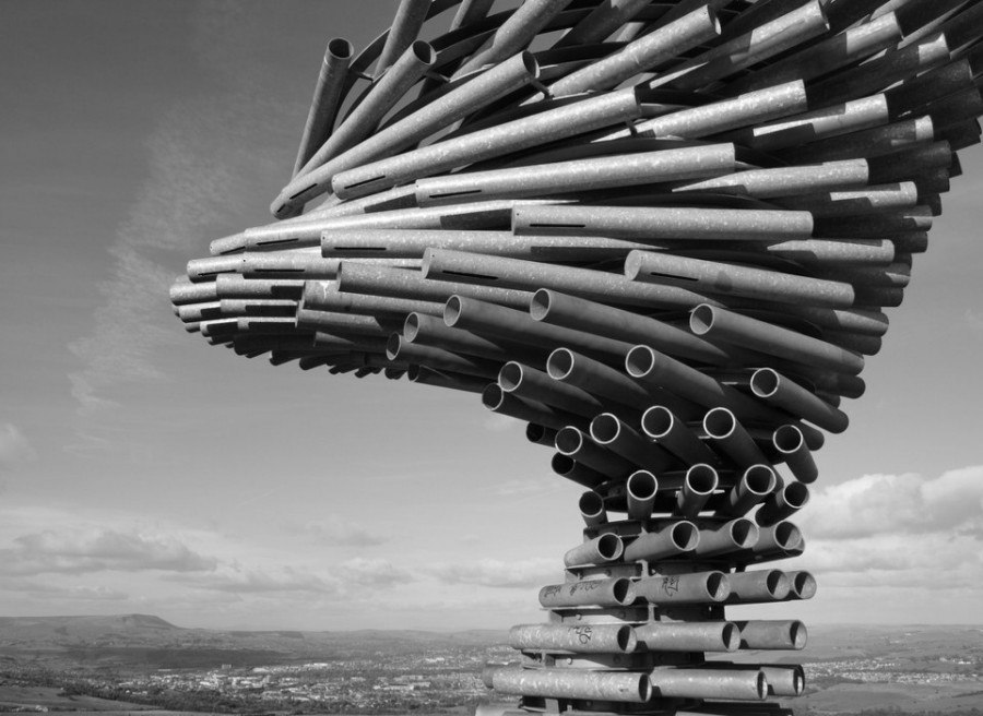 英格兰的会唱歌的树 - 5