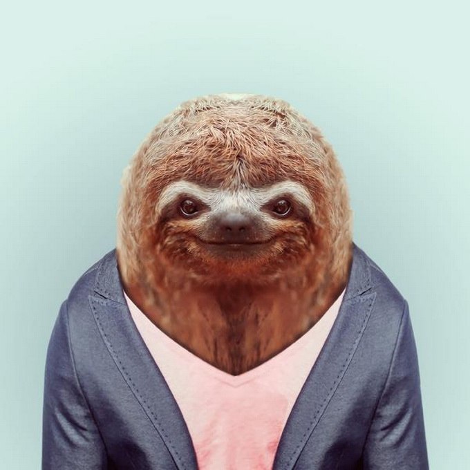 Tierporträts – eine lustige Serie des Fotografen aus Barcelona, Yago Partal, der die Tiere in menschliche Kostüme gekleidet hat - 8