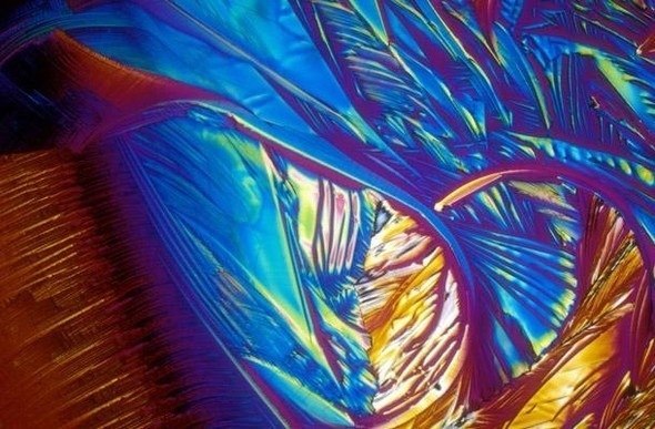 Bebidas alcohólicas bajo el microscopio