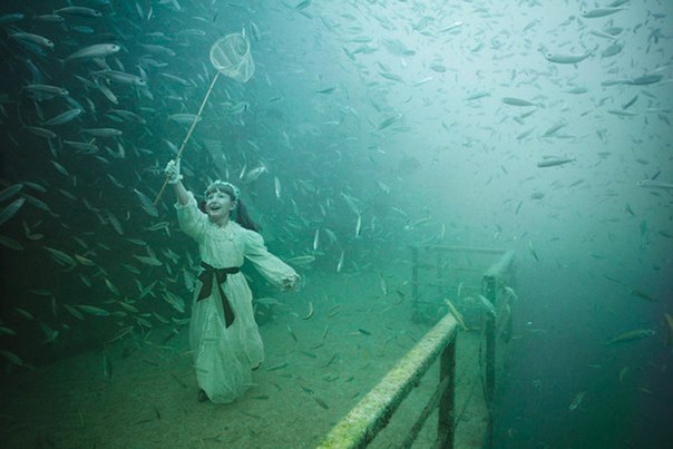 Wystawa fotografii robionych pod wodą