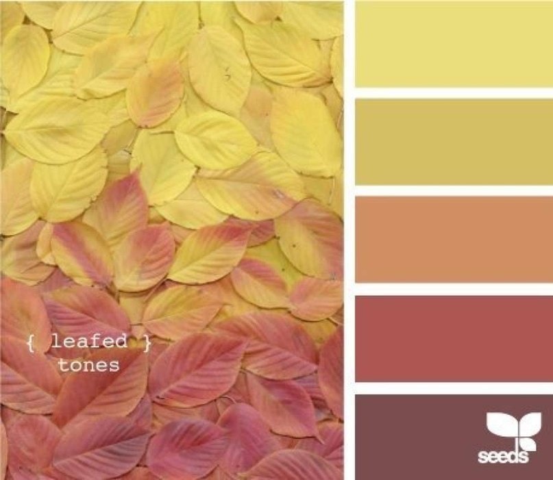 颜色的兼容性与色调搭配