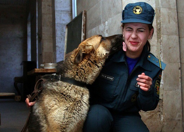 Gegründet wurde die Internationale Fédération Cynologique am 22. Mai 1911 in der belgischen Stadt Thuin - 1