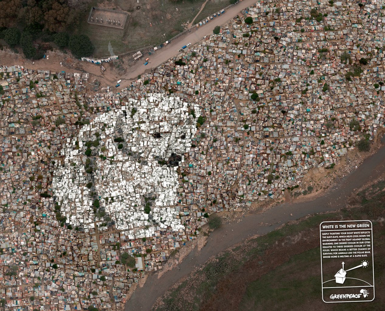 Greenpeace ruft dazu auf, Dächer von Häusern in Weiß zu streichen