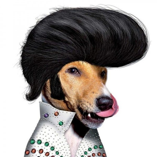 Niemiecka grupa wydawnicza teNeues opublikowała nietypową fotoksiężkę „Znane twarze” („Famous Faces”), w której połączyła kult celebrytów z delikatną ironią