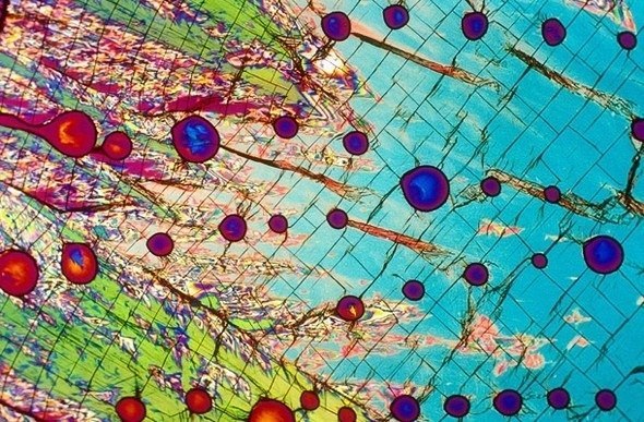 Bebidas alcohólicas bajo el microscopio - 7