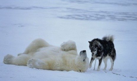 Перед вами удивительные кадры, сделанные фотографом Nat-Geo Норбертом Роузингом