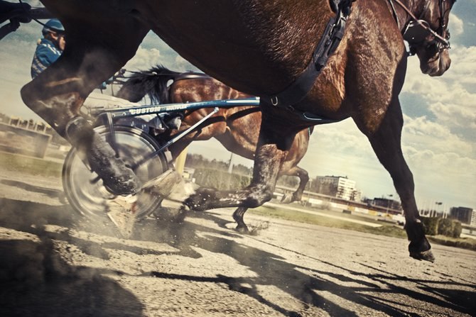 照片中的赛马比赛 - 8