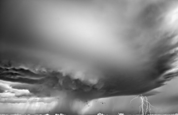 2012年索尼世界摄影师评选的年度最佳摄影师