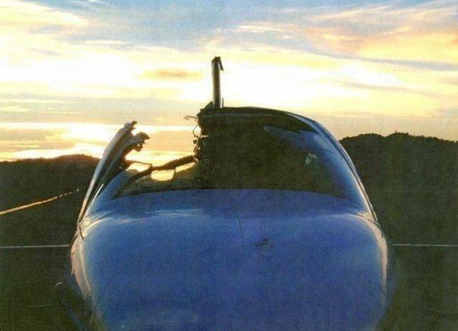 Les oiseaux et les avions qui n’ont pas partagé le ciel - 6