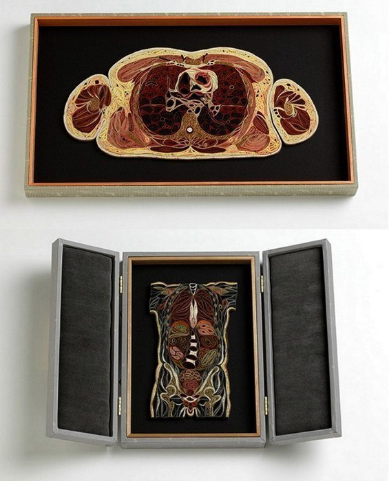 L’Anatomie en papier de Lisa Nilsson - 7