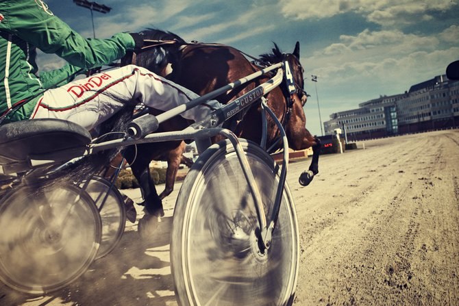 照片中的赛马比赛 - 7