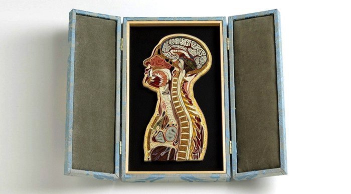 L’Anatomie en papier de Lisa Nilsson - 6