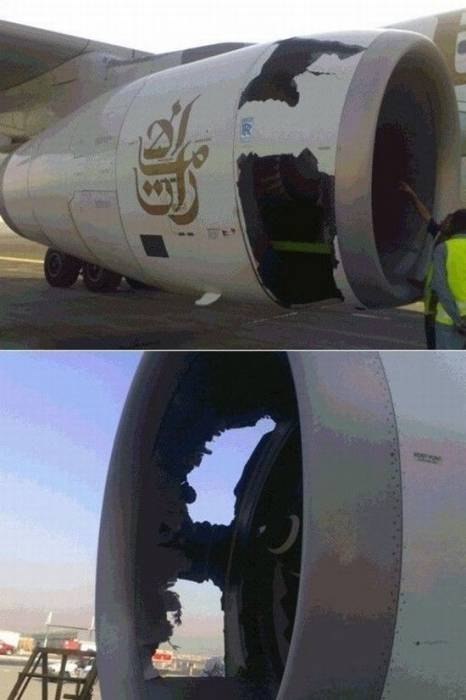 Les oiseaux et les avions qui n’ont pas partagé le ciel - 5