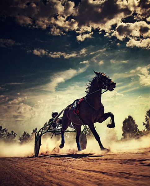 照片中的赛马比赛