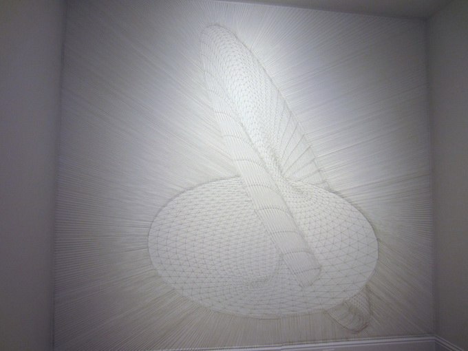 Since 2008, the Brooklyn-based artist Alyson Shotz has been creating fascinating works consisting of thousands of tiny needles that have been carefully woven together to form intricate patterns. - 6