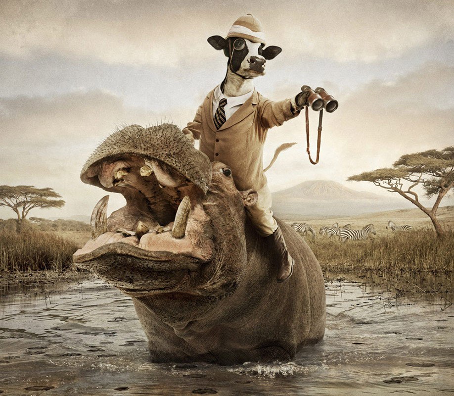 美国摄影师安迪·马尔创作了一款有趣的日历——“食草动物的足迹”，这款日历用于宣传Chick-fil-A公司的产品。