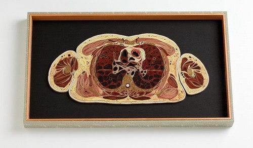 莉莎·尼尔森的纸质解剖学模型