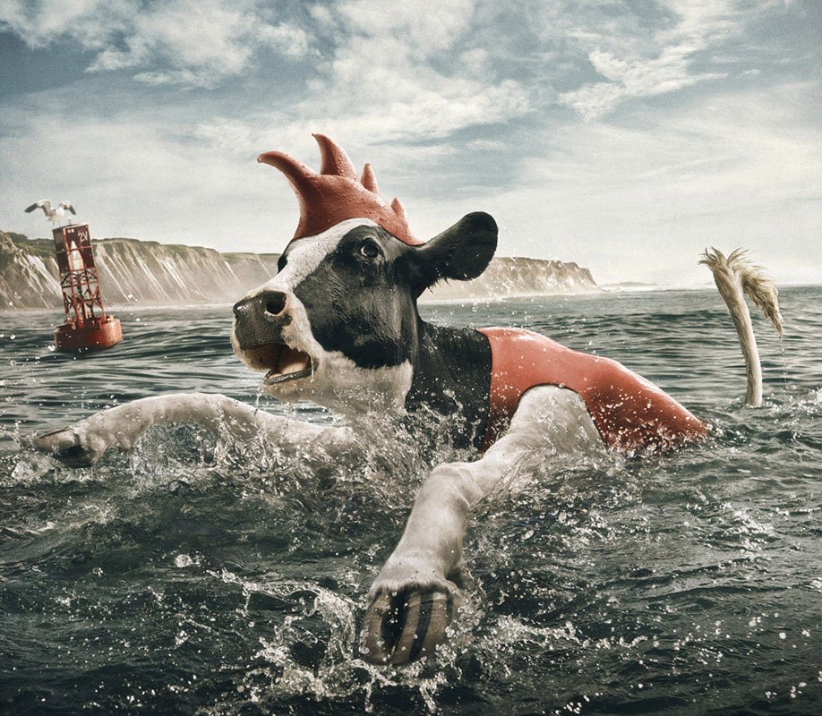American photographer Andy Mahr has created a humorous calendar titled “Trail Grazers”, which is used to promote products from the Chick-fil-A company. - 5