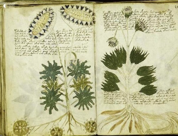 世界上的9个未解之谜 - 5